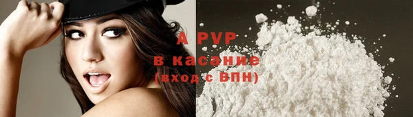 a pvp Каменка