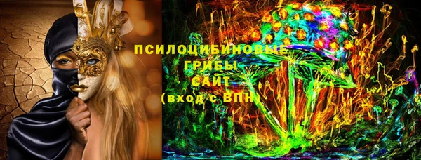 бутират Иннополис